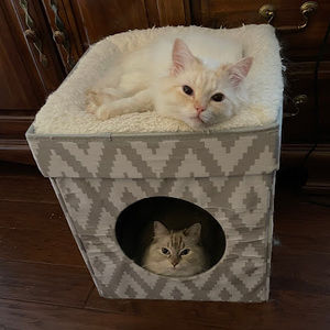 Meet your Posher, Agnes